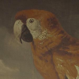 巨茎人妖自吸出精:
