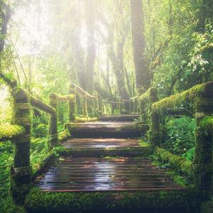 巨茎人妖自吸出精:
